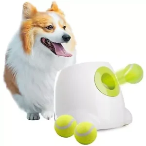 ALL FOR PAWS Automatic Dog Ball Launcher