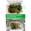 Nomoy Turtle Dry Moss 100g