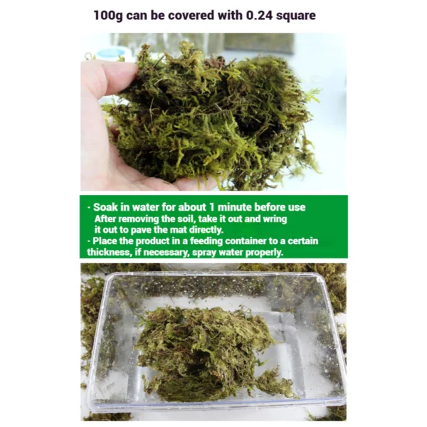 Nomoy Turtle Dry Moss 100g