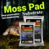 Nomoy Turtle Dry Moss 100g