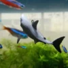 Aquarium Floating Great White Shark Decoration L7.4cm H3.3cm