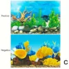 sg-11134201-7rdvf-lylz4qjo9zky7b.webp Double Sided Aquarium Background Paper