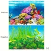 sg-11134201-7rdxf-lylz4swau5ns90.webp Double Sided Aquarium Background Paper