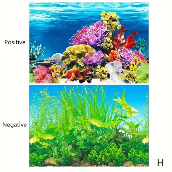 sg-11134201-7rdxf-lylz4swau5ns90.webp Double Sided Aquarium Background Paper