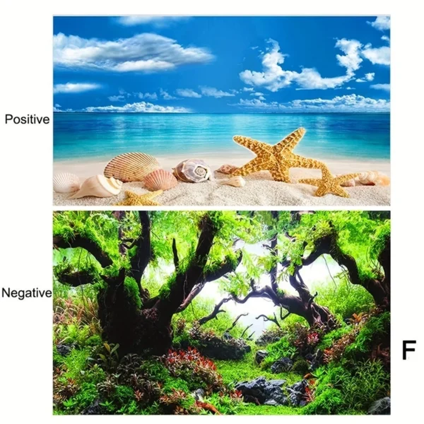 sg-11134201-7rdyl-lylz4u1d62awcb.webp Double Sided Aquarium Background Paper