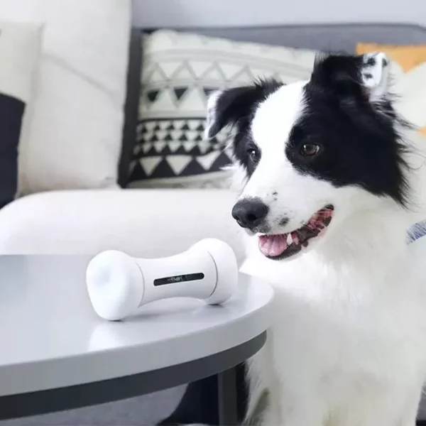 sg-11134201-8258w-ms9prbpmuhvp82.webp Wickedbone Smart Interactive Dog Bone Toy