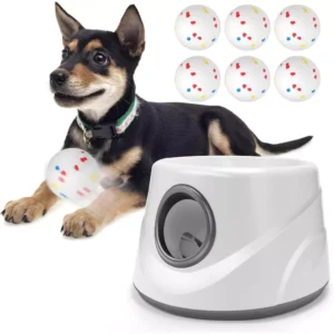 Automatic Dog Ball Thrower 6 Balls