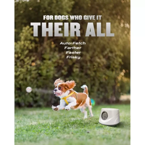 Automatic Dog Ball Thrower 6 Balls