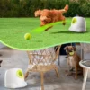 ALL FOR PAWS Automatic Dog Ball Launcher