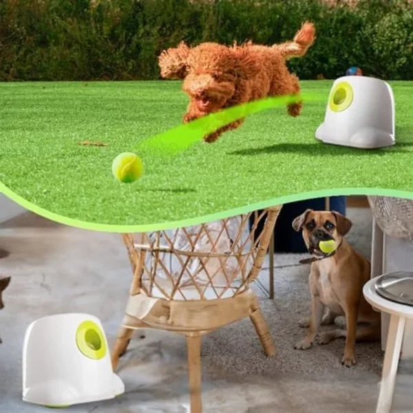 ALL FOR PAWS Automatic Dog Ball Launcher