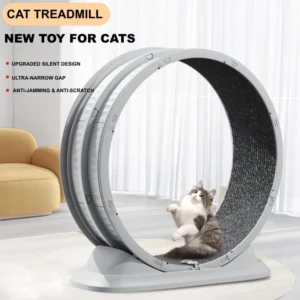 80cm Cat Running Exercise Wheel