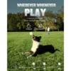 Automatic Dog Ball Thrower 6 Balls